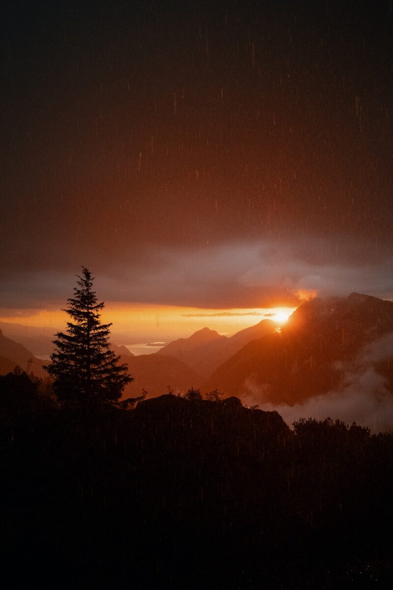 State Legislation & Policy